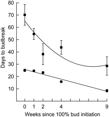 Daylength effects on black spruce bud dormancy release change during endo- and ecodormancy